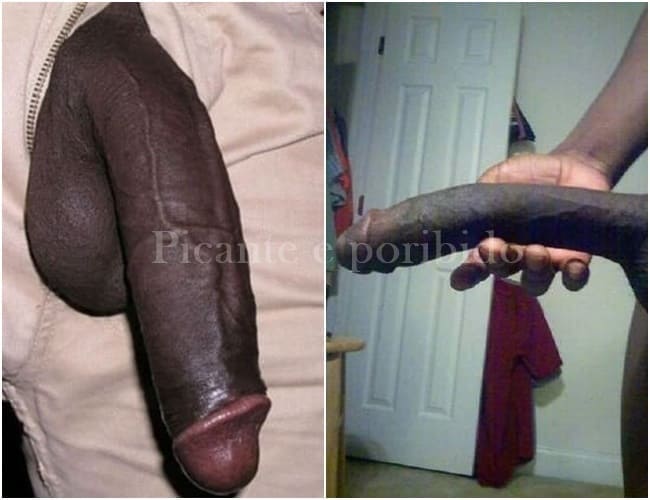 Duas fotos de negros da rola enorme fora da calça