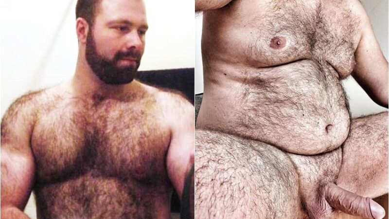 Fotos de ursos gays pelados exibindo o peito peludo