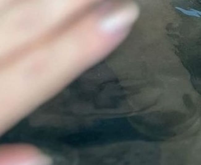foto do maluma pelado mostrando a pica na piscina